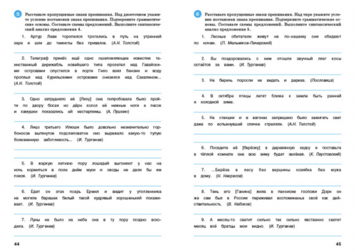 Александрова Тренажёр Русский язык 9 класс Пунктуация
