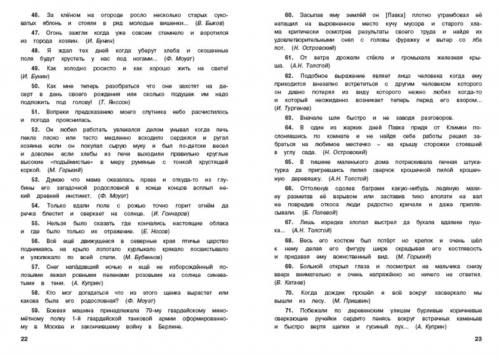 Александрова Тренажёр по русскому языку 10-11 классы Пунктуация
